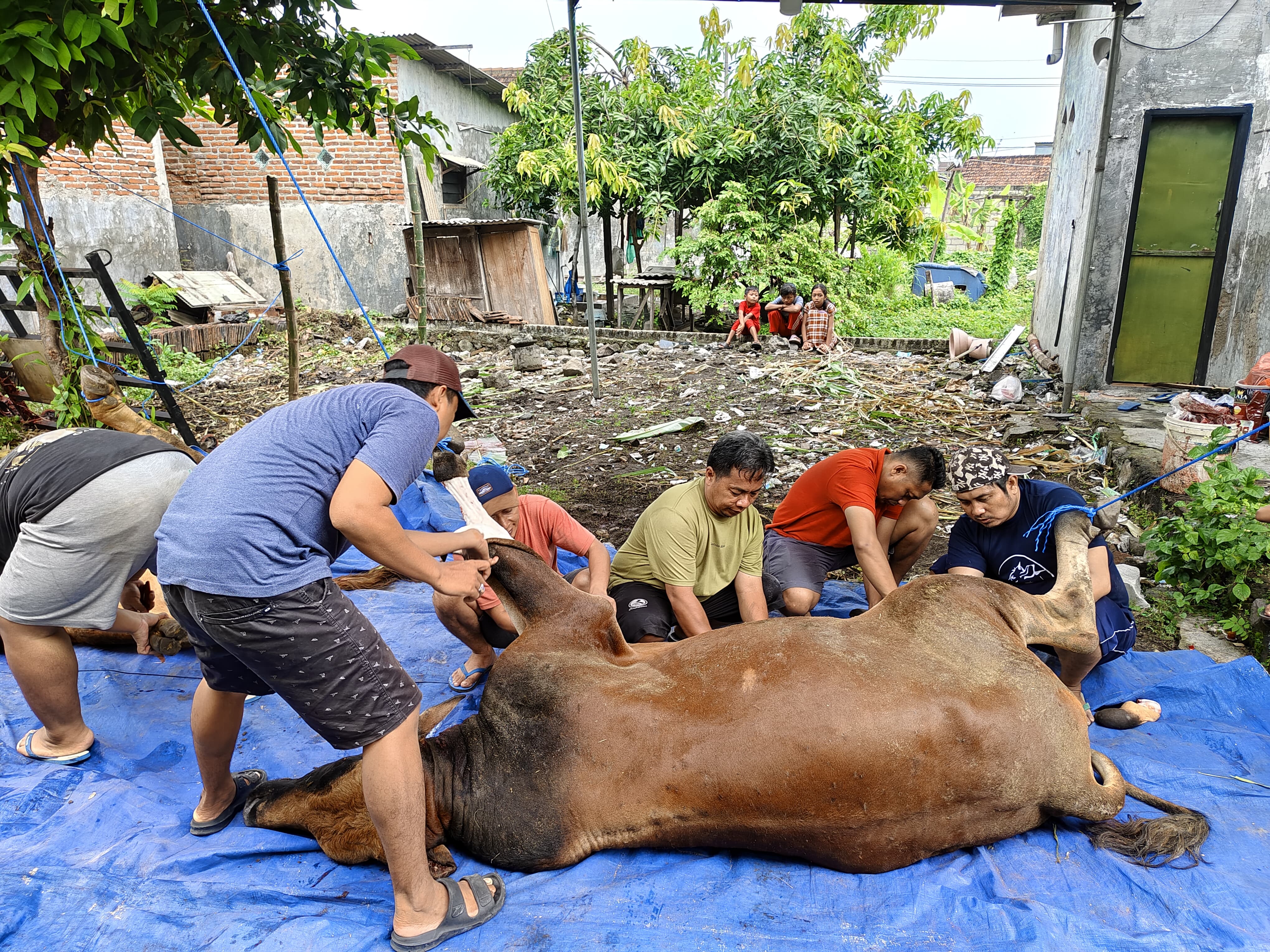 Qurban di Lembaga Kesejahteraan Sosial Anak - Panti Asuhan Al Mubarak Kebonsari Candi Sidoarjo